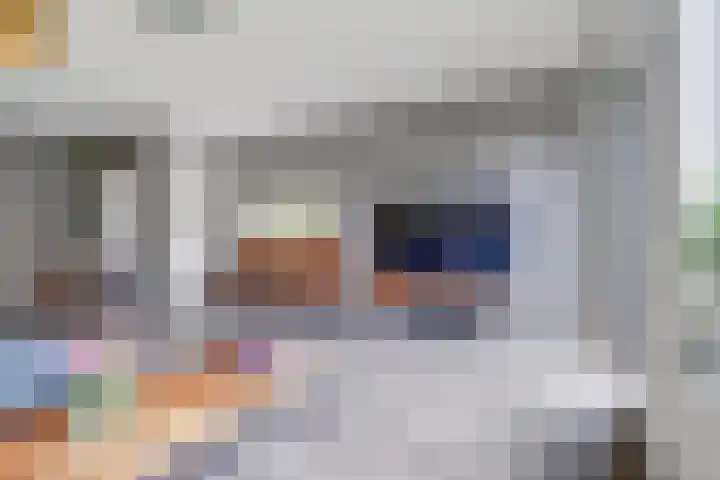 Zanglijster 89 Rhenen thumbnail 11