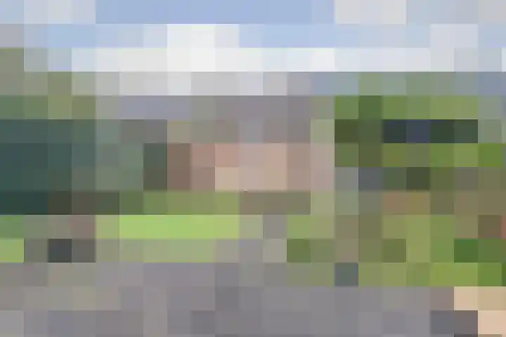 Zanglijster 89 Rhenen thumbnail 39