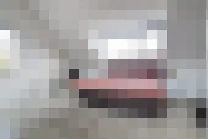 Zanglijster 89 Rhenen thumbnail 4