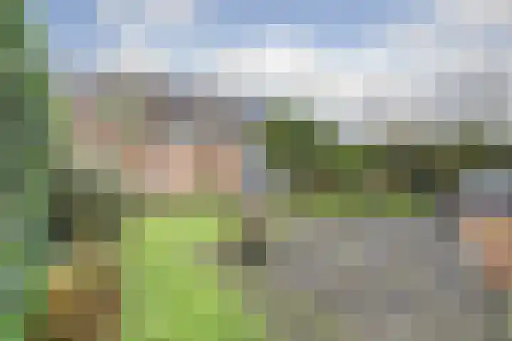 Zanglijster 89 Rhenen thumbnail 40