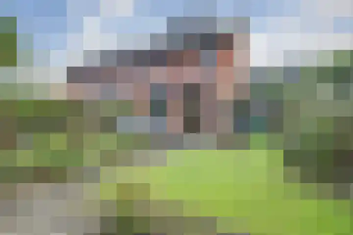 Zanglijster 89 Rhenen thumbnail 41