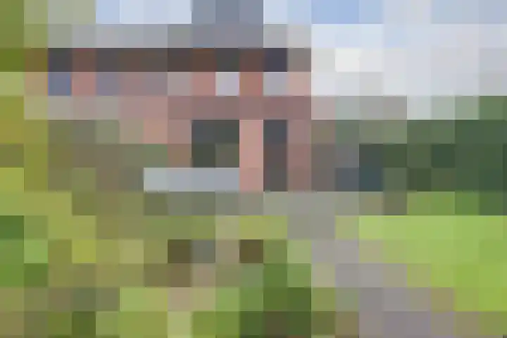 Zanglijster 89 Rhenen thumbnail 42