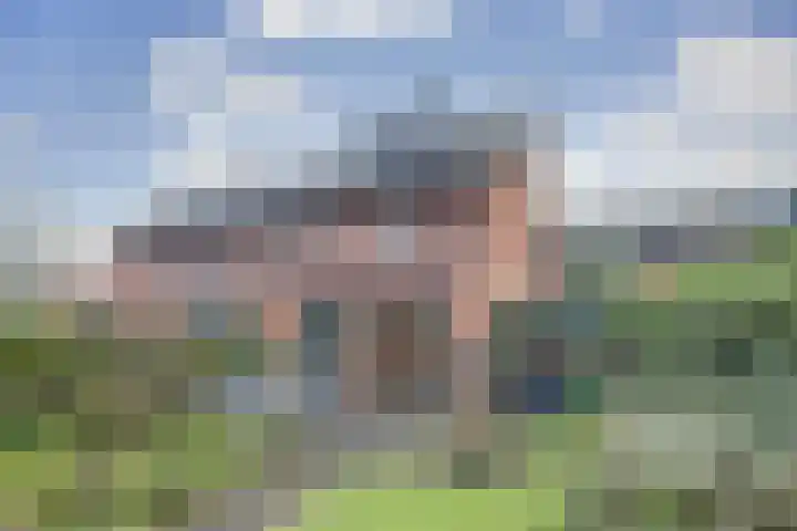 Zanglijster 89 Rhenen thumbnail 43