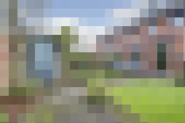 Zanglijster 89 Rhenen thumbnail 44