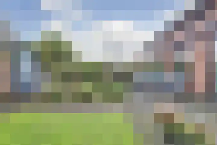 Zanglijster 89 Rhenen thumbnail 45