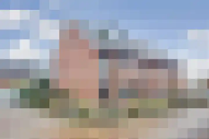 Zanglijster 89 Rhenen thumbnail 46