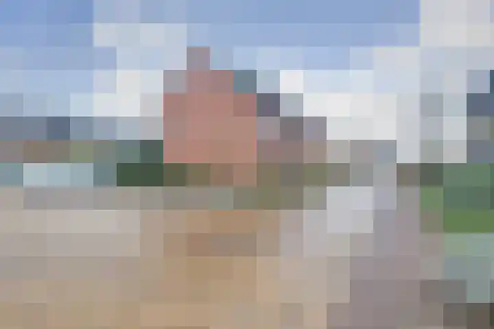 Zanglijster 89 Rhenen thumbnail 47