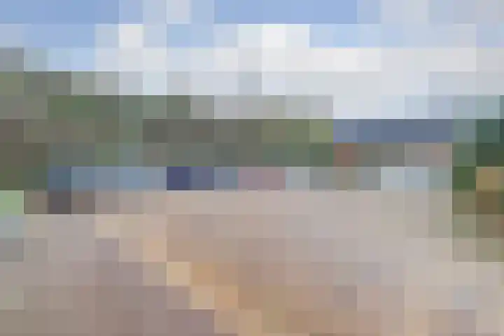 Zanglijster 89 Rhenen thumbnail 48