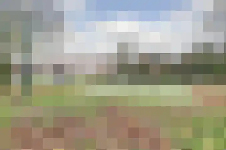 Zanglijster 89 Rhenen thumbnail 50