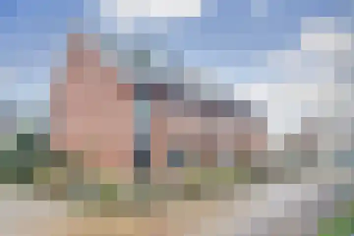 Zanglijster 89 Rhenen thumbnail 6