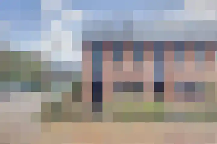 Zanglijster 89 Rhenen thumbnail 7