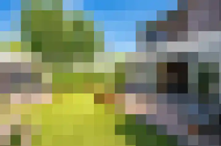 Zanglijster 9 Ouderkerk aan de Amstel thumbnail 33