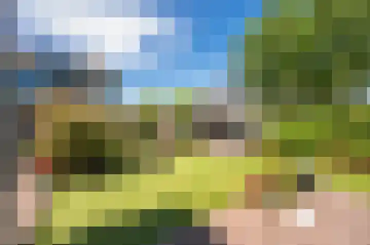Zanglijster 9 Ouderkerk aan de Amstel thumbnail 34