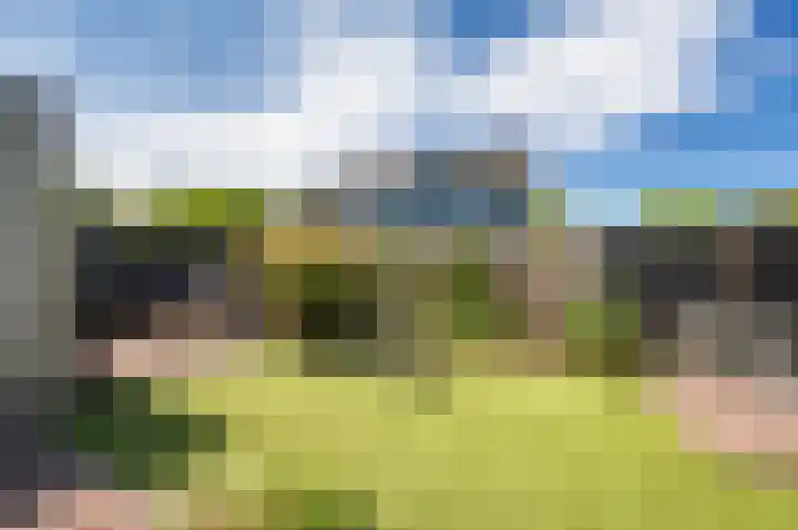 Zanglijster 9 Ouderkerk aan de Amstel thumbnail 35
