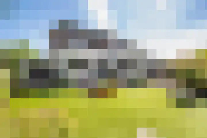 Zanglijster 9 Ouderkerk aan de Amstel thumbnail 36