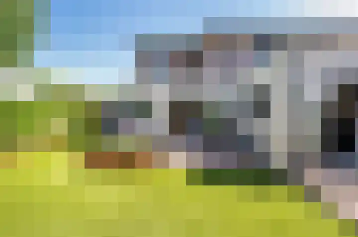 Zanglijster 9 Ouderkerk aan de Amstel thumbnail 37