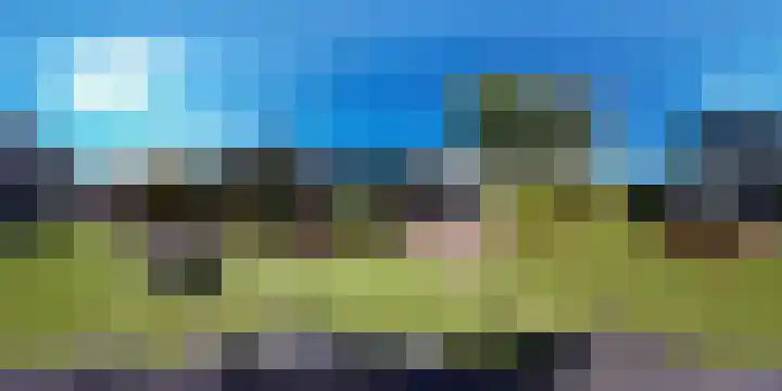 Zanglijster 9 Ouderkerk aan de Amstel thumbnail 38
