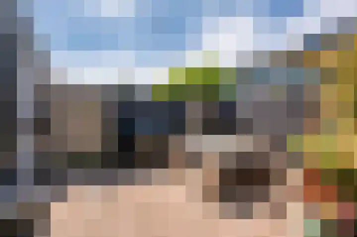 Zanglijster 9 Ouderkerk aan de Amstel thumbnail 39