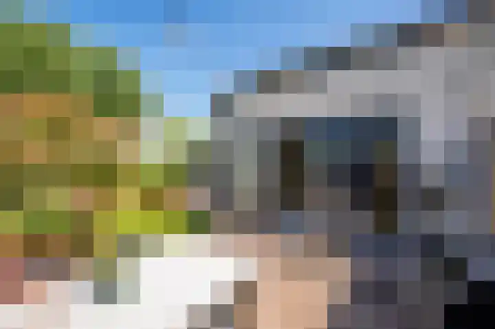 Zanglijster 9 Ouderkerk aan de Amstel thumbnail 41