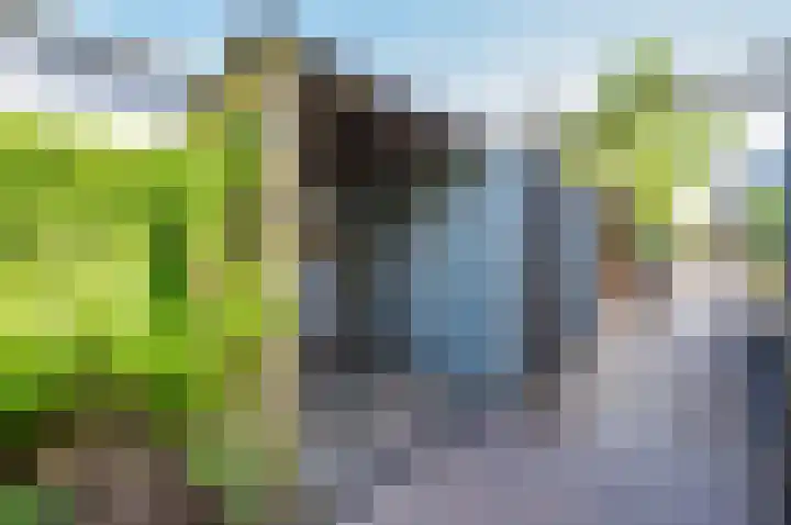 Zanglijster 9 Ouderkerk aan de Amstel thumbnail 42