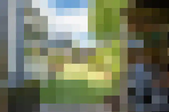 Zanglijster 9 Ouderkerk aan de Amstel thumbnail 43