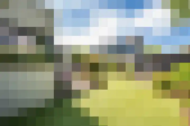 Zanglijster 9 Ouderkerk aan de Amstel thumbnail 44
