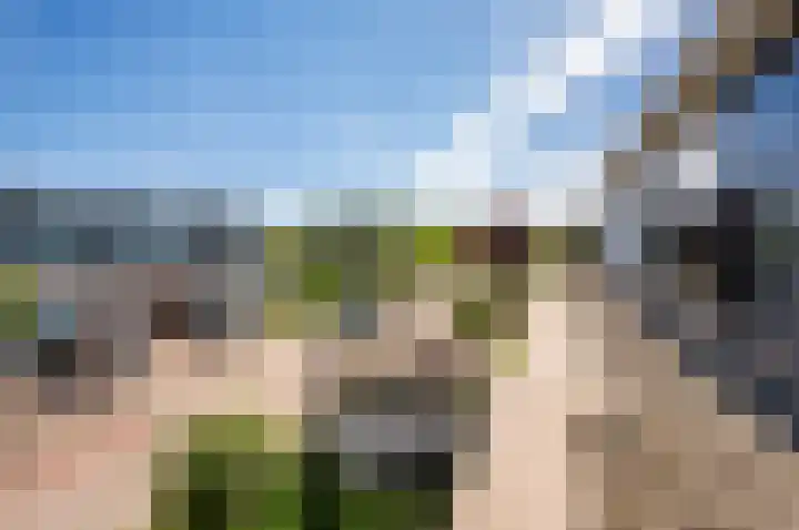 Zanglijster 9 Ouderkerk aan de Amstel thumbnail 46