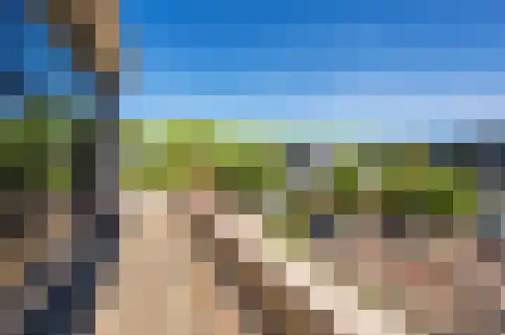 Zanglijster 9 Ouderkerk aan de Amstel thumbnail 47