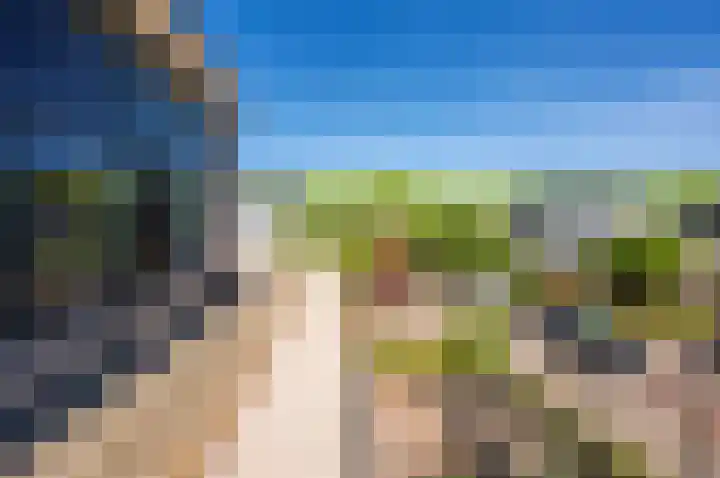 Zanglijster 9 Ouderkerk aan de Amstel thumbnail 48