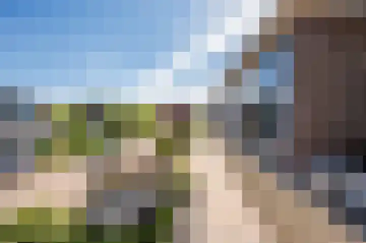 Zanglijster 9 Ouderkerk aan de Amstel thumbnail 49