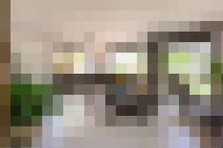Zanglijster 9 Ouderkerk aan de Amstel thumbnail 5