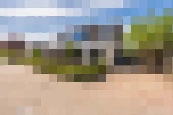Zanglijster 9 Ouderkerk aan de Amstel thumbnail 52