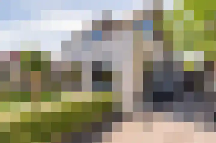 Zanglijster 9 Ouderkerk aan de Amstel thumbnail 53