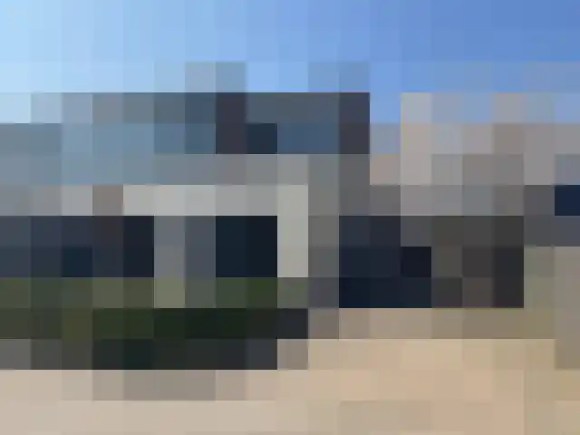 Zanglijster 9 Ouderkerk aan de Amstel thumbnail 55