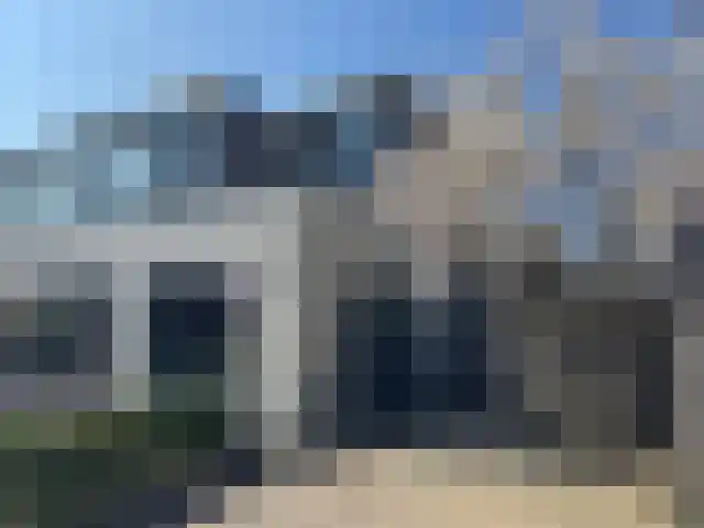 Zanglijster 9 Ouderkerk aan de Amstel thumbnail 56