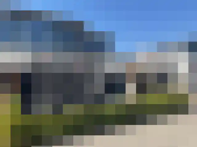 Zanglijster 9 Ouderkerk aan de Amstel thumbnail 58