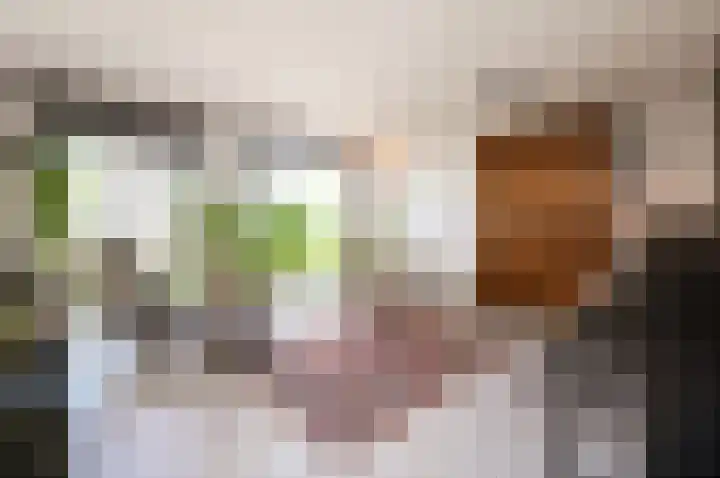Zanglijster 9 Ouderkerk aan de Amstel thumbnail 6
