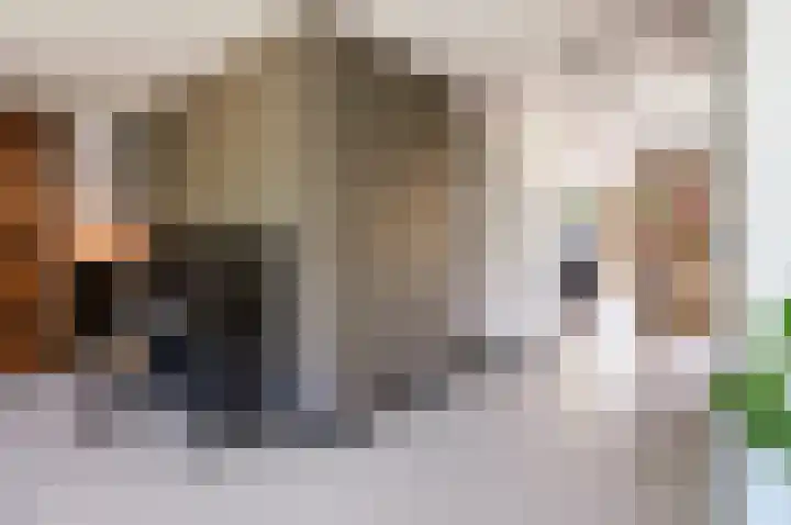 Zanglijster 9 Ouderkerk aan de Amstel thumbnail 7
