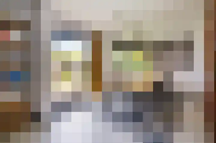 Zanglijster 9 Ouderkerk aan de Amstel thumbnail 8