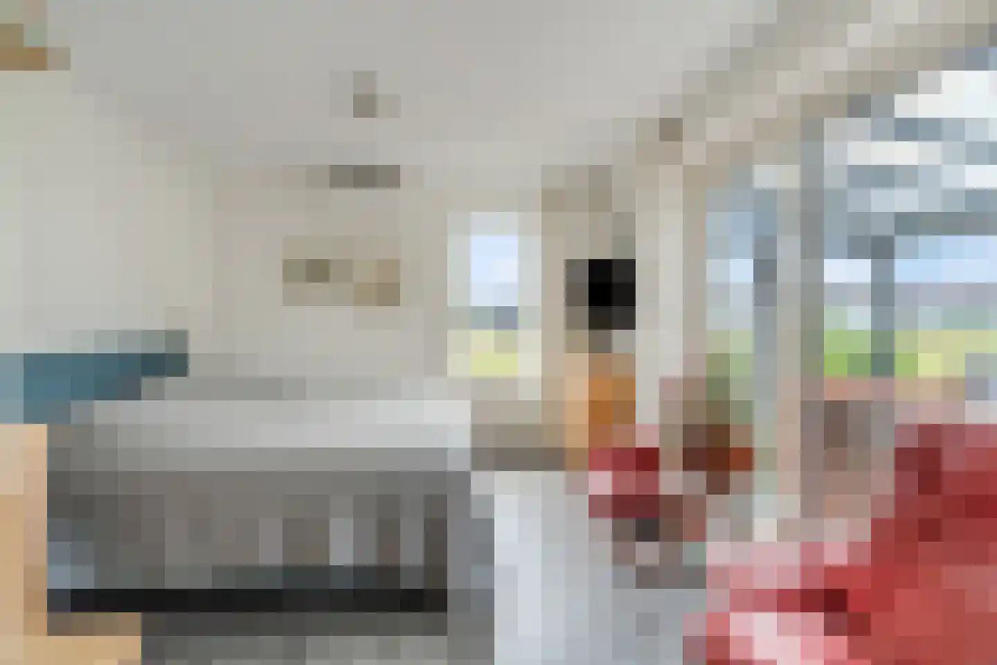 Zanglijster 90 Rhenen thumbnail 12