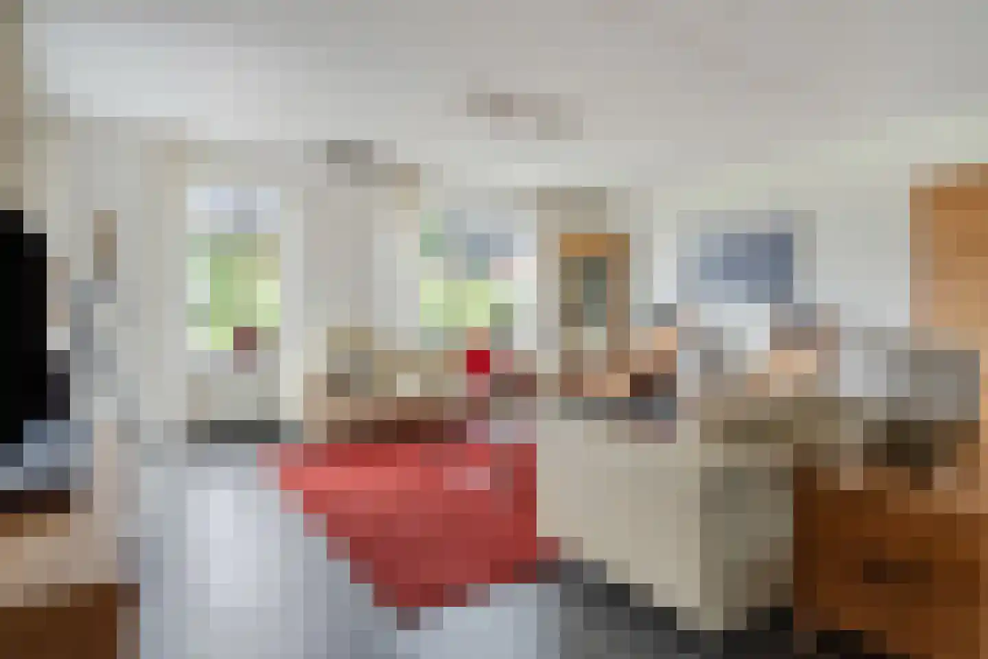 Zanglijster 90 Rhenen thumbnail 15
