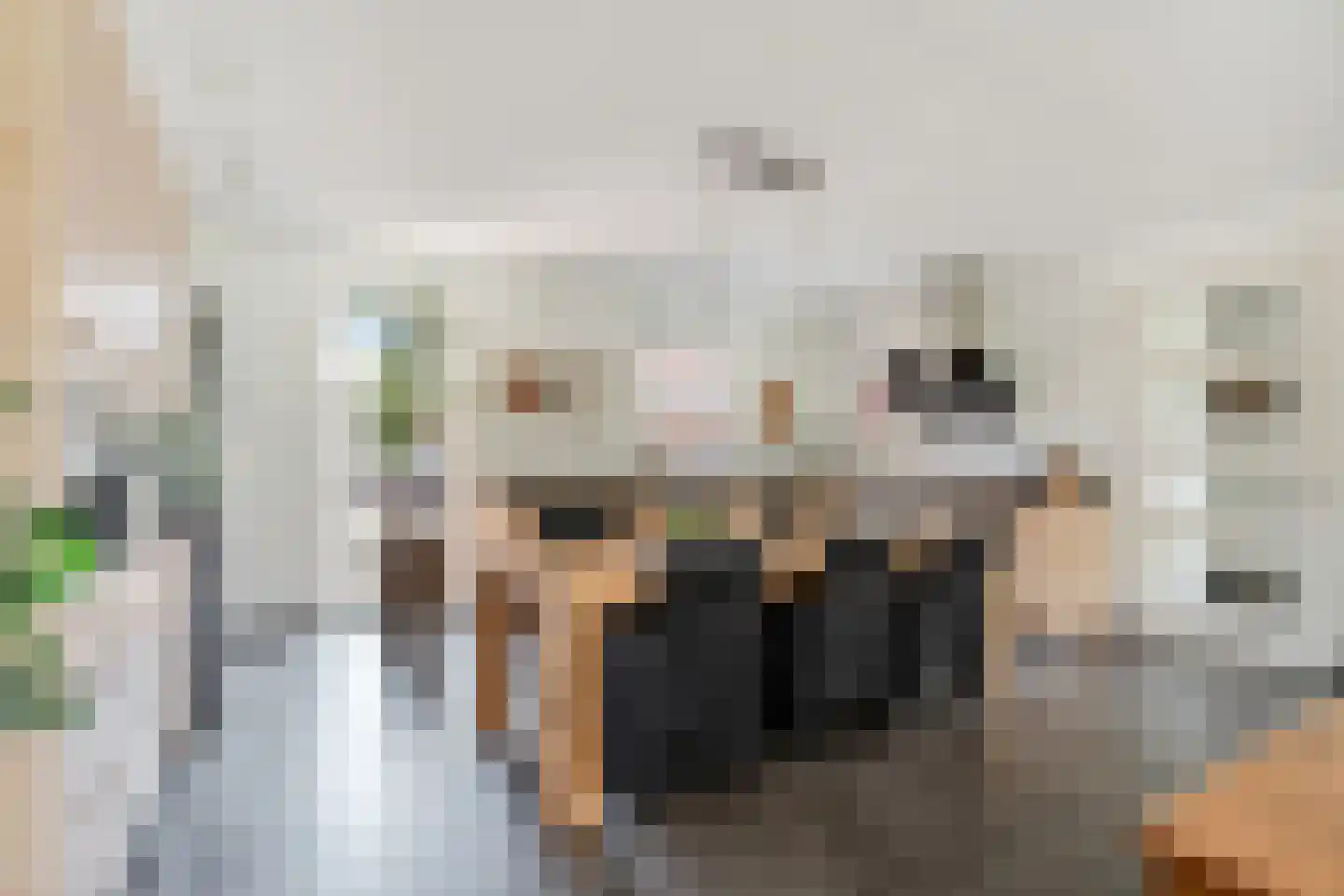 Zanglijster 90 Rhenen thumbnail 19