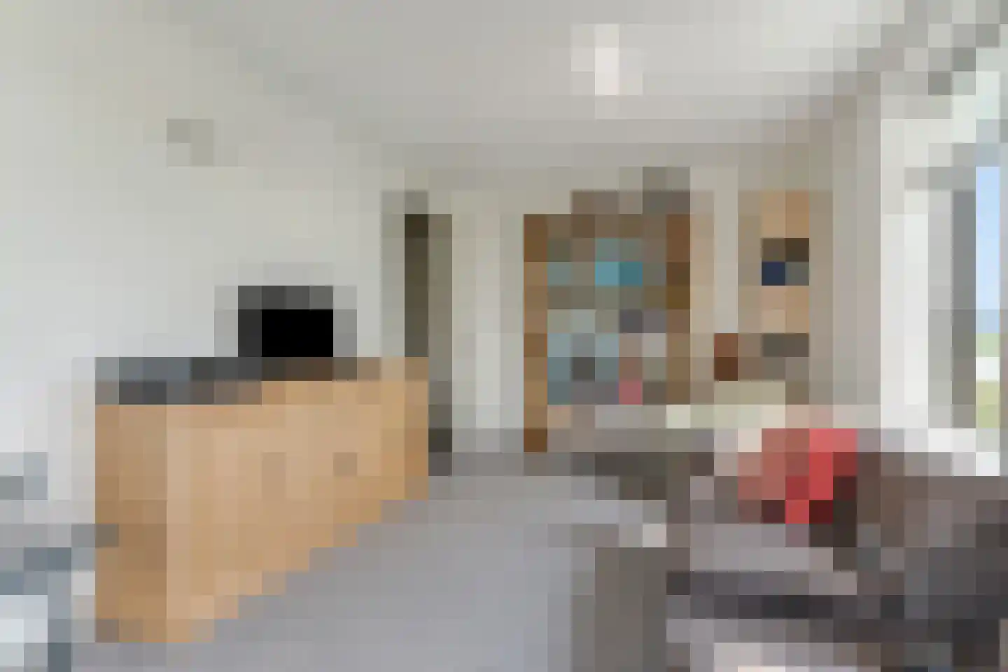Zanglijster 90 Rhenen thumbnail 23