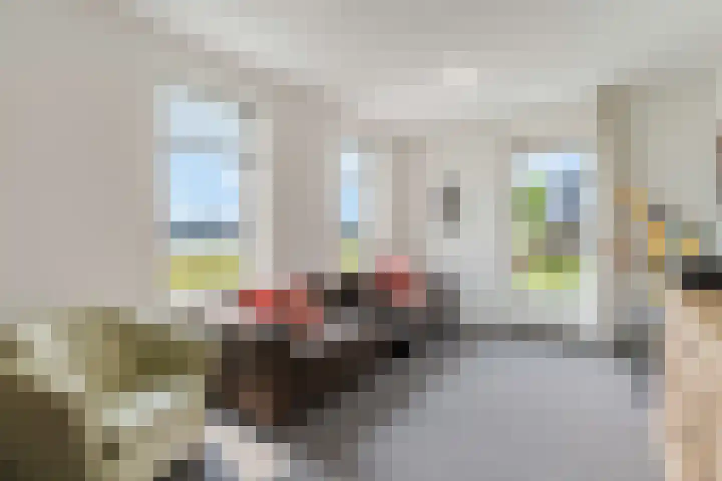 Zanglijster 90 Rhenen thumbnail 24