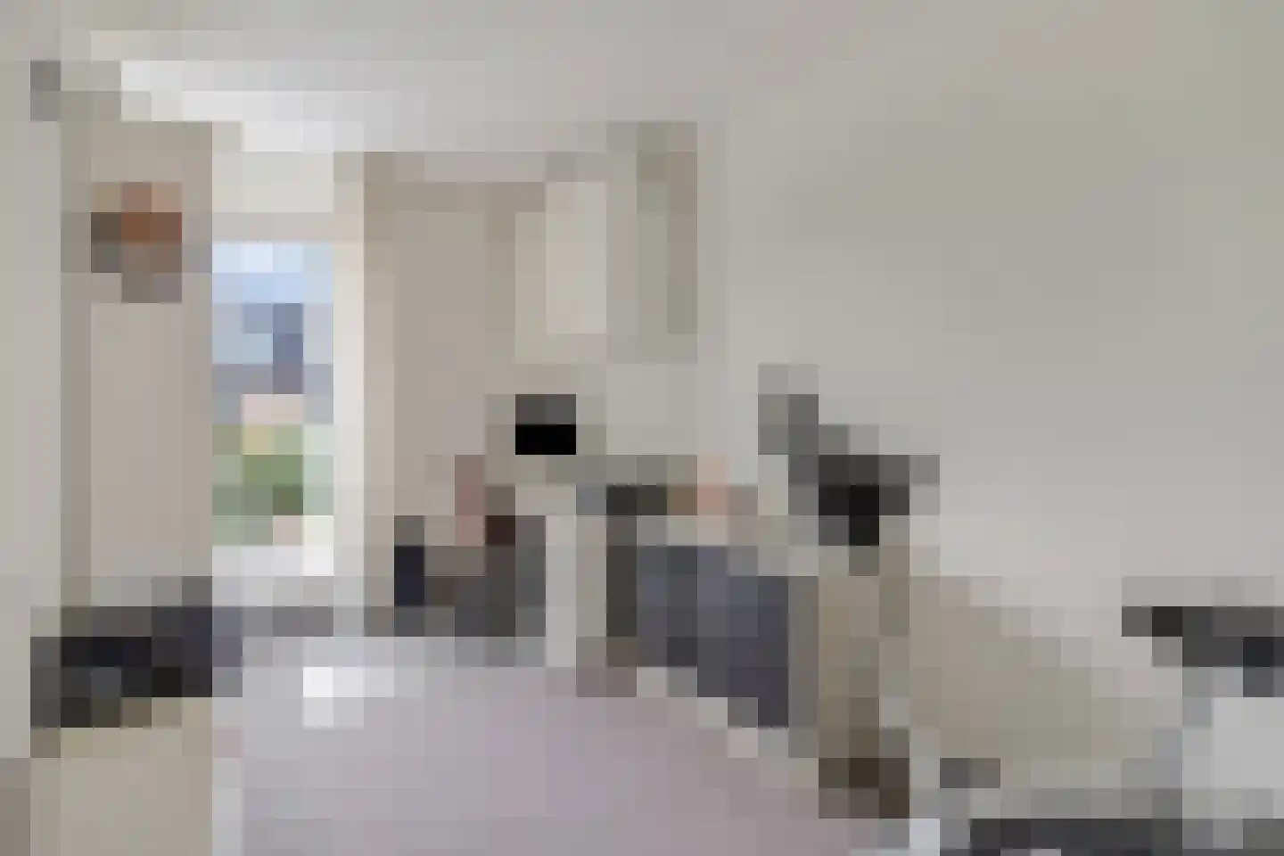 Zanglijster 90 Rhenen thumbnail 26