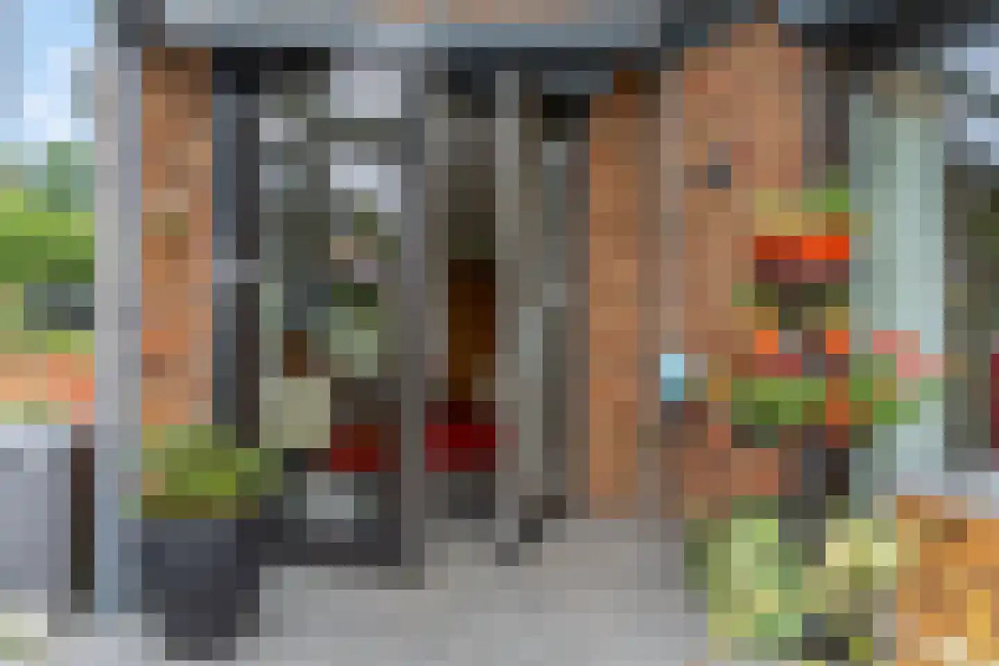 Zanglijster 90 Rhenen thumbnail 30