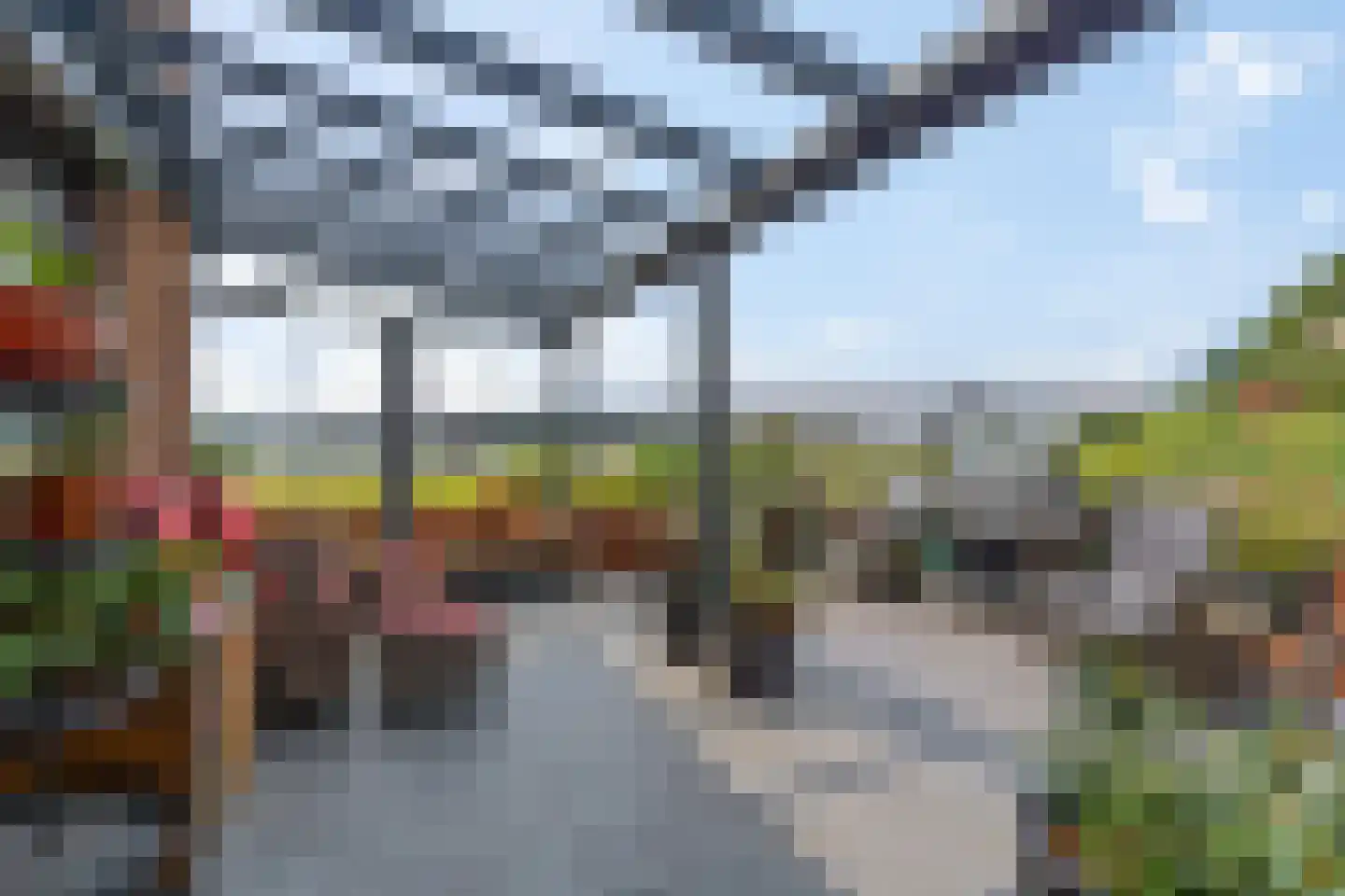 Zanglijster 90 Rhenen thumbnail 31