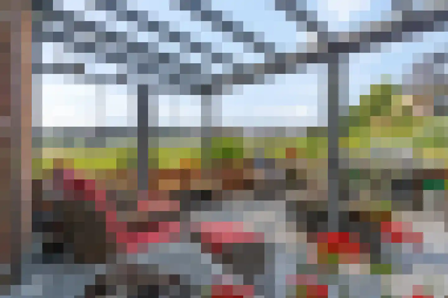 Zanglijster 90 Rhenen thumbnail 32