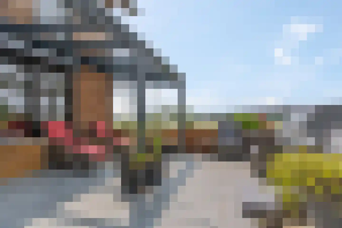 Zanglijster 90 Rhenen thumbnail 33