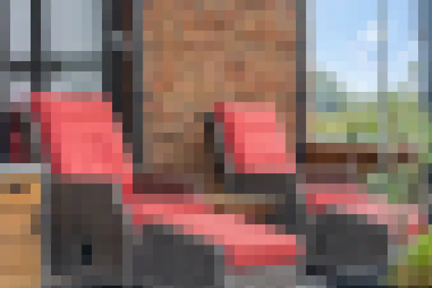 Zanglijster 90 Rhenen thumbnail 34
